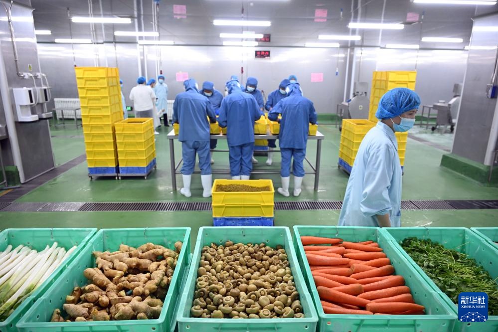 立秋貼膘，食養有道 傳統習俗與現代健康的平衡智慧